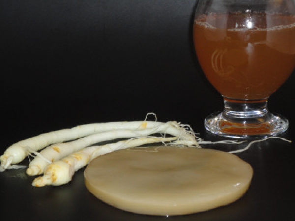 Would you like to make and refine your tea with the help of our exclusive ginseng kombucha tea fungus? Here you can buy real live kombucha scoby cultures online