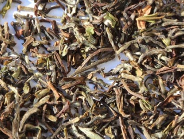 Golden Nepal TGFOP - Ein vollaromatischer Tee mit zahlreichen Blattspitzen - Wollen Sie leckeren Kombucha Tee einfach selber herstellen und sicher bestellen? Hier finden Sie alles rund um den idealen Tee für Ihren Kombucha, Herstellanleitungen und leckere