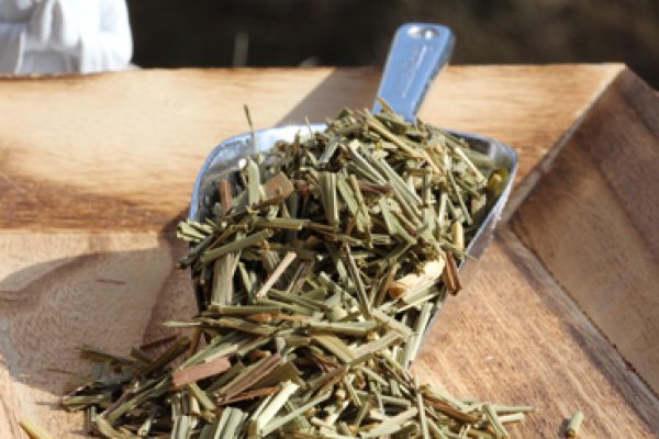 Would you like to make or brew your own kombucha tea with this delicious Lemongrass tea? Here you can order Lemongrass tea online safe and secure at the best price