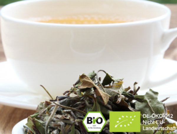 Bio Pai Mu Tan - Ein edler Weißer Tee - Wollen Sie leckeren Kombucha Tee einfach selber herstellen und sicher bestellen? Hier finden Sie alles rund um den idealen Tee für Ihren Kombucha, Herstellanleitungen und leckere Rezepte Gratis, Komplettsets und Anf